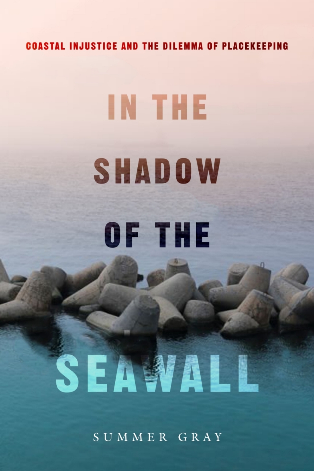 In the Shadow of the Seawall Coastal Injustice and the Dilemma of Placekeeping 1st Edition - (PDF/EPUB Version)