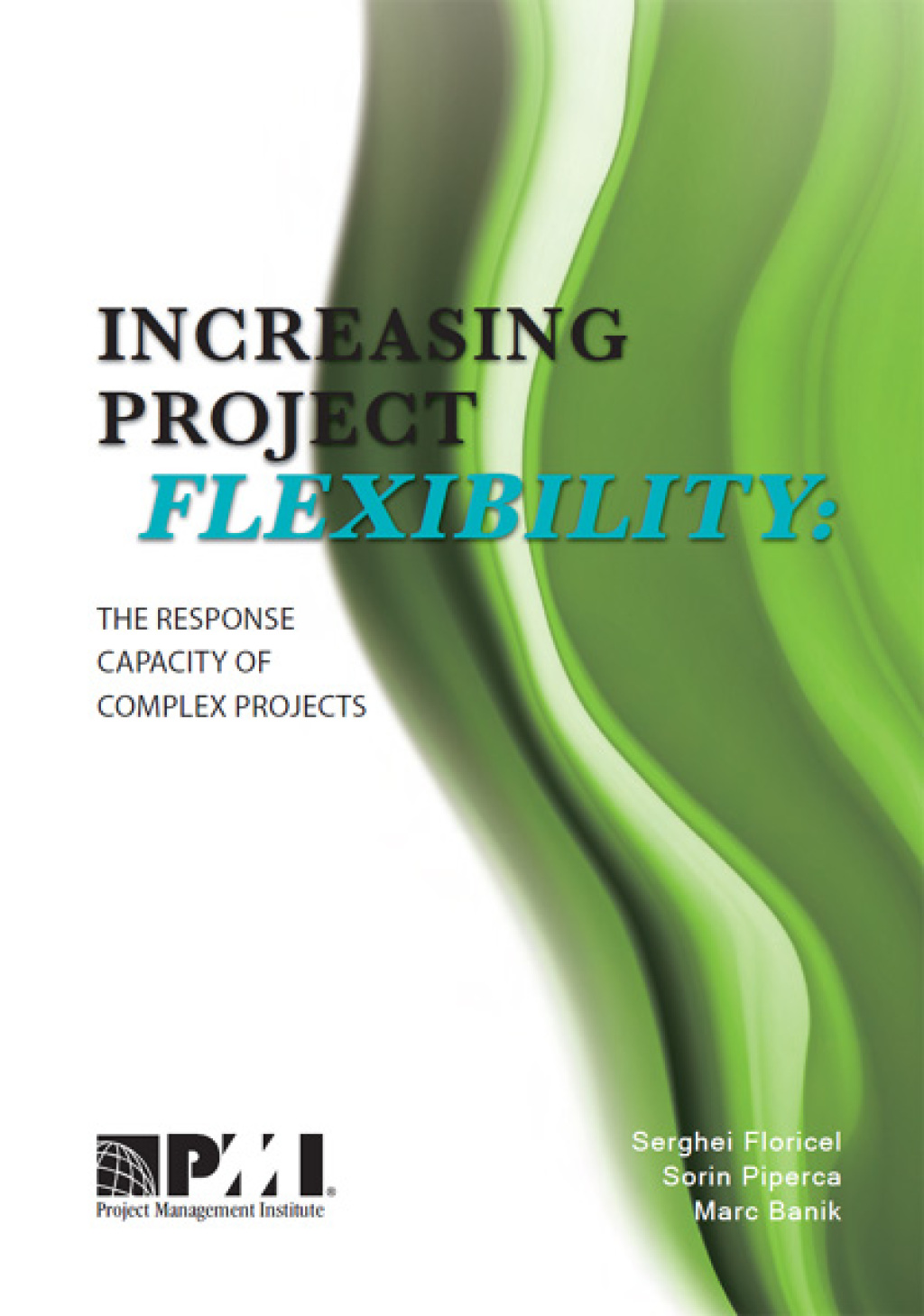 Increasing Project Flexibility The Response Capacity of Complex Projects 1st Edition - (PDF/EPUB Version)