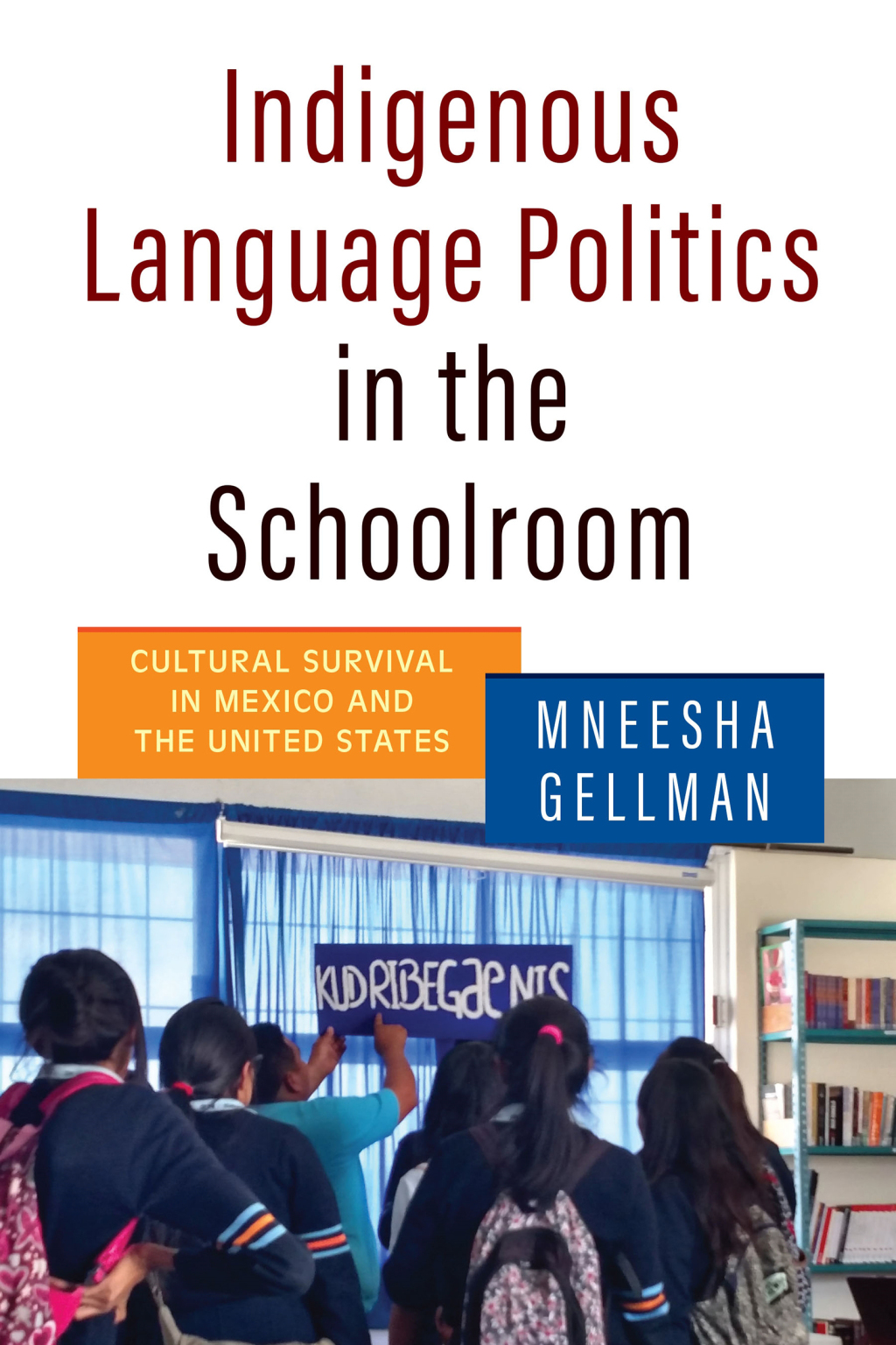Indigenous Language Politics in the Schoolroom Cultural Survival in Mexico and the United States - (PDF/EPUB Version)