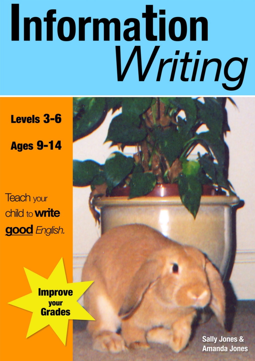 Information Writing 2nd Edition - (PDF/EPUB Version)