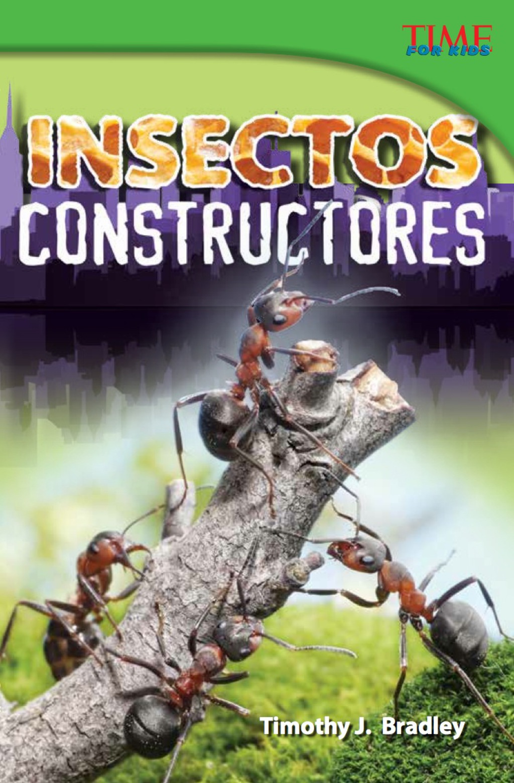 Insectos constructores (Bug Builders) 2nd Edition - (PDF/EPUB Version)