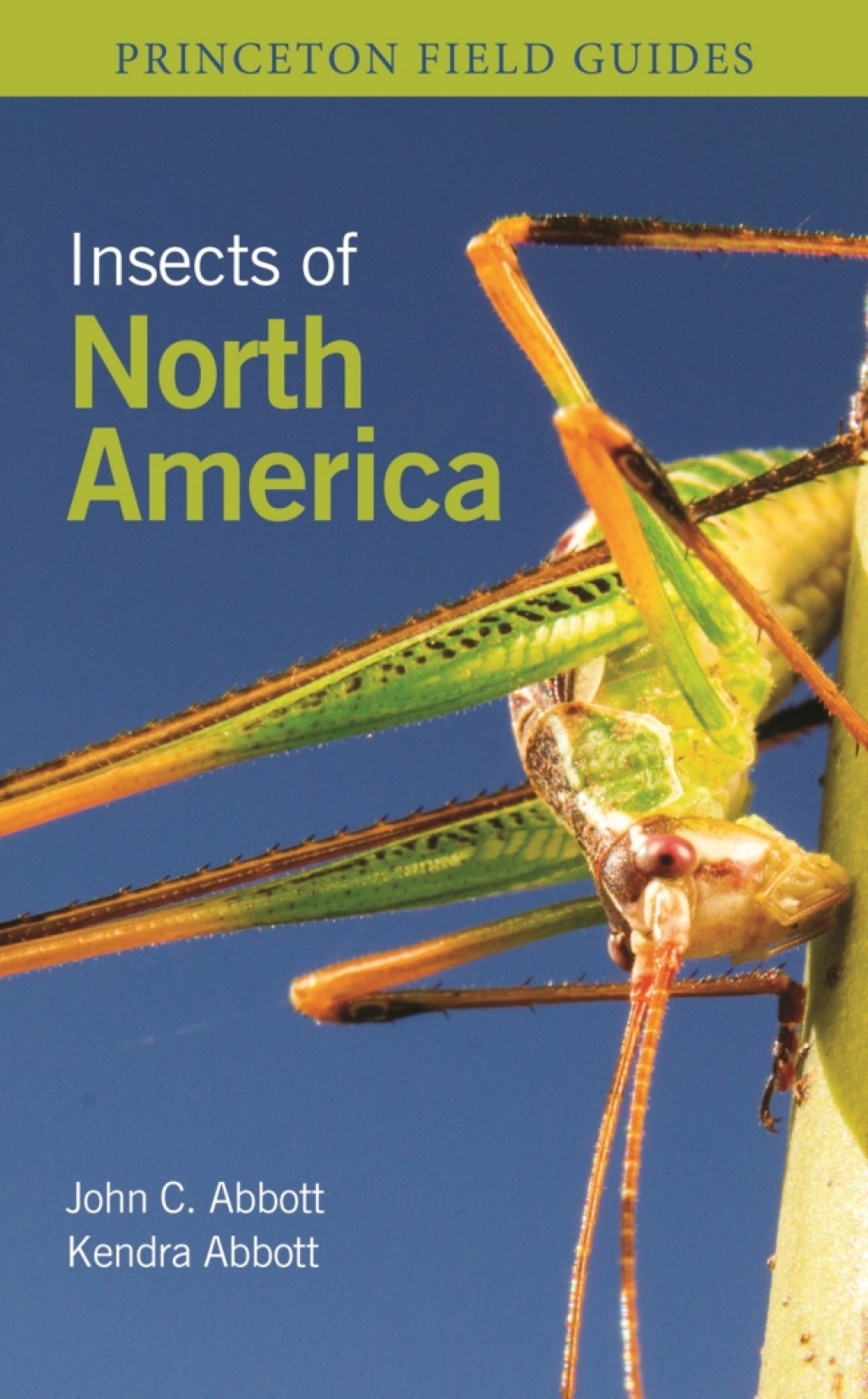 Insects of North America - (PDF/EPUB Version)
