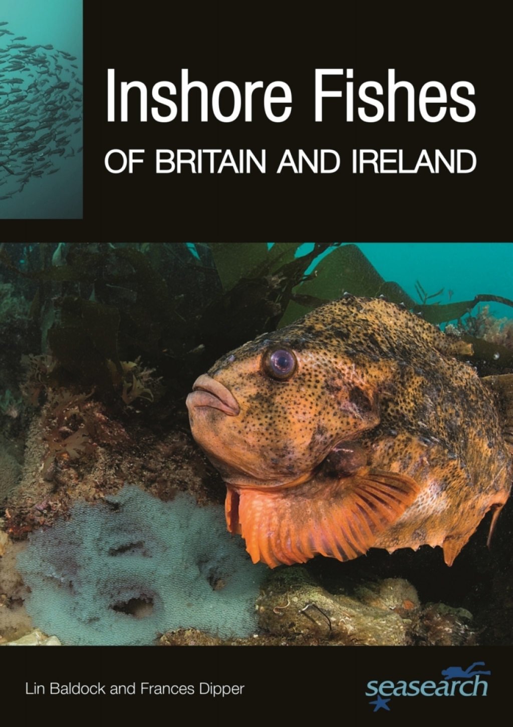 Inshore Fishes of Britain and Ireland - (PDF/EPUB Version)