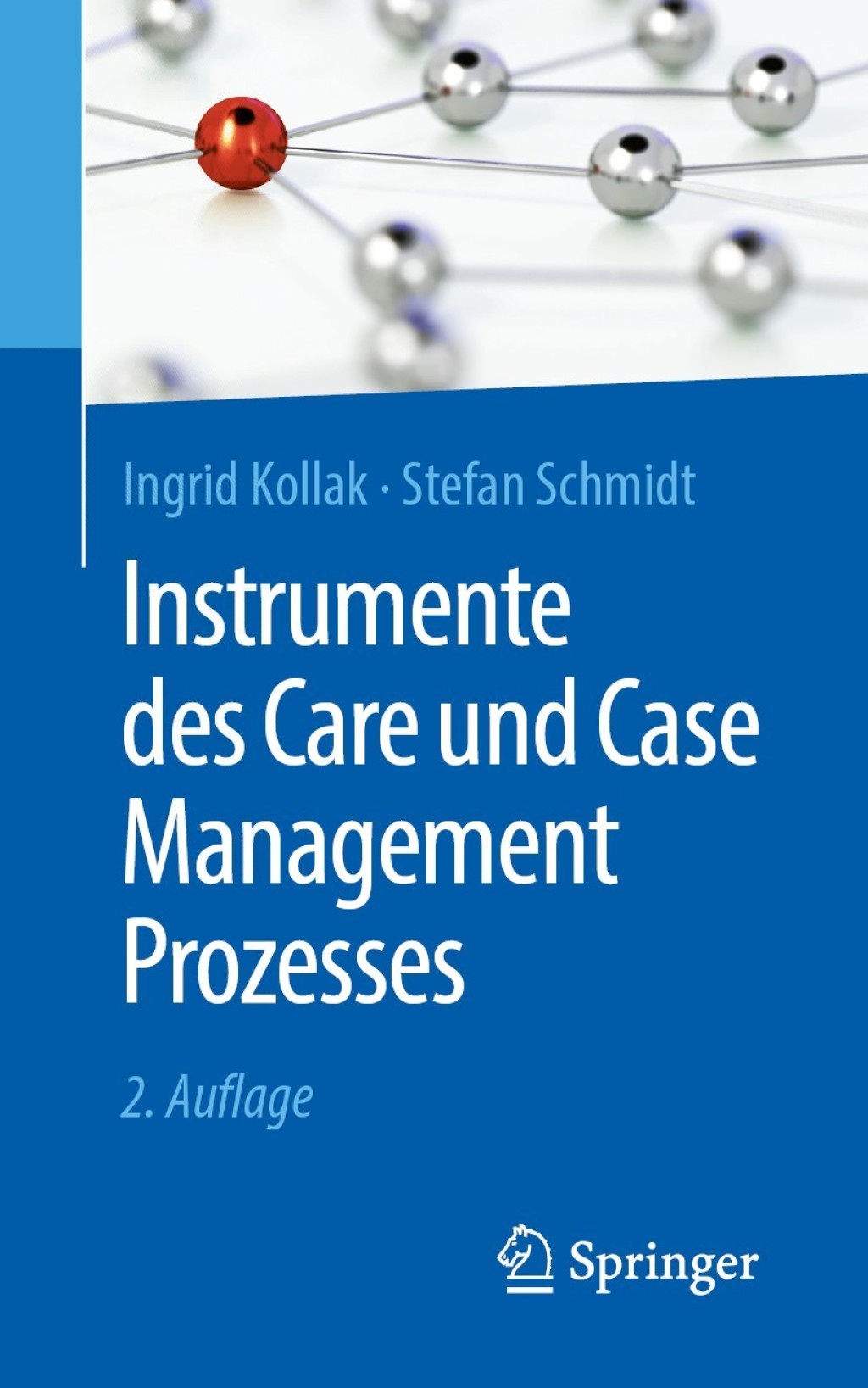 Instrumente des Care und Case Management Prozesses 2nd Edition - (PDF/EPUB Version)