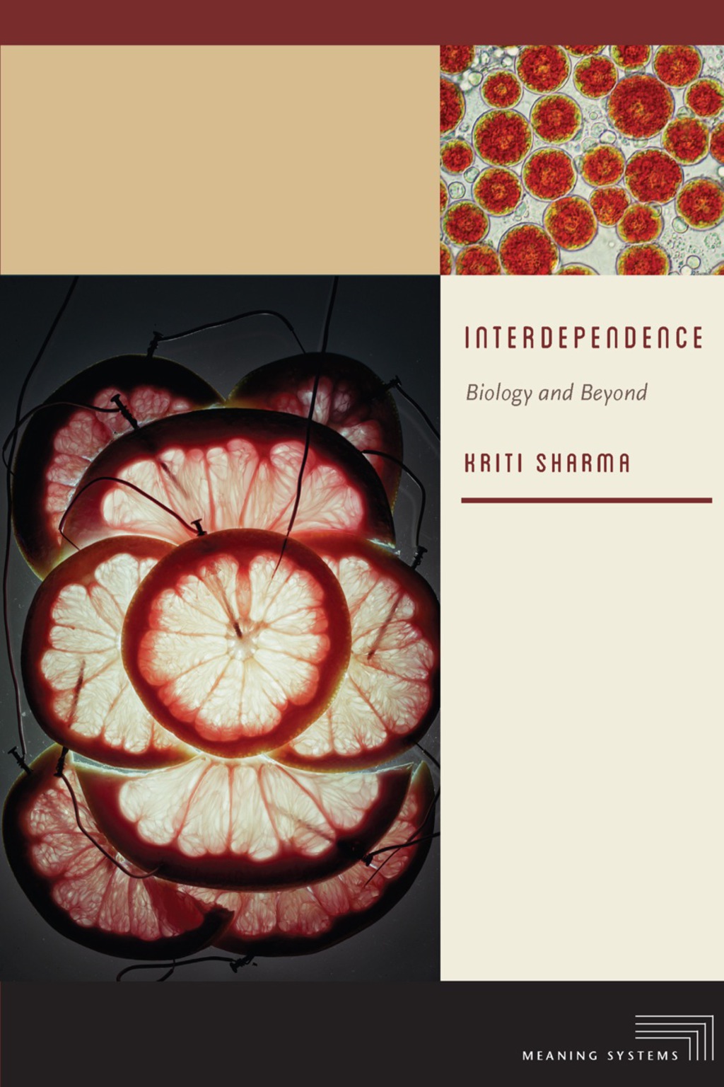 Interdependence Biology and Beyond - (PDF/EPUB Version)
