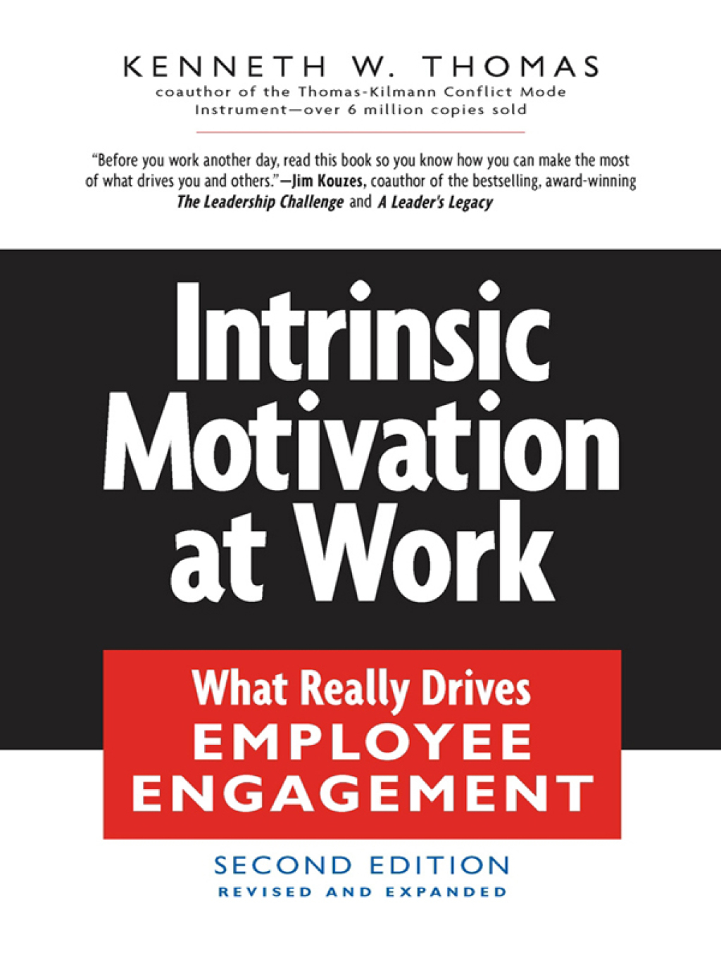 Intrinsic Motivation at Work What Really Drives Employee Engagement 2nd Edition - (PDF/EPUB Version)