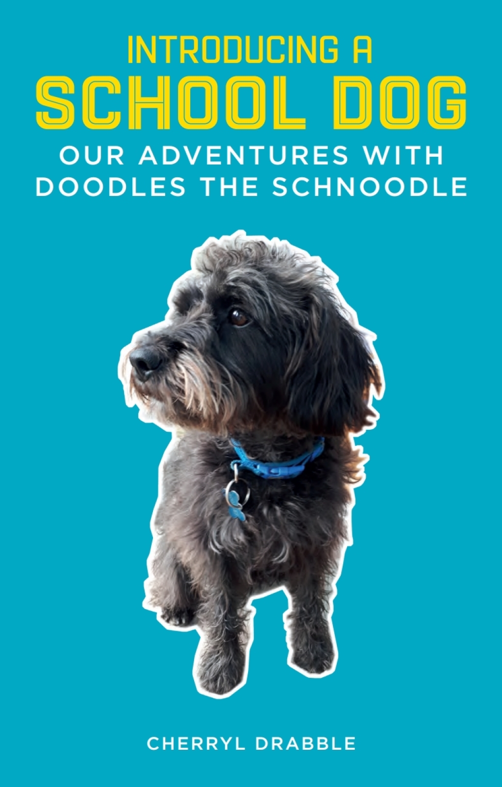 Introducing a School Dog Our Adventures with Doodles the Schnoodle - (PDF/EPUB Version)