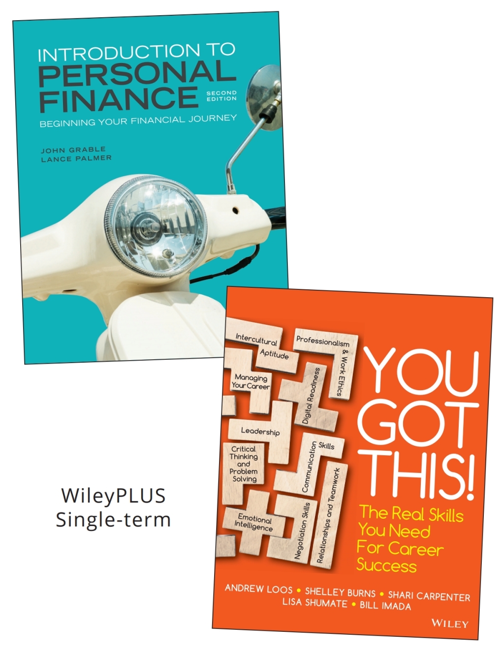 Introduction to Personal Finance: Beginning Your Financial Journey â ...