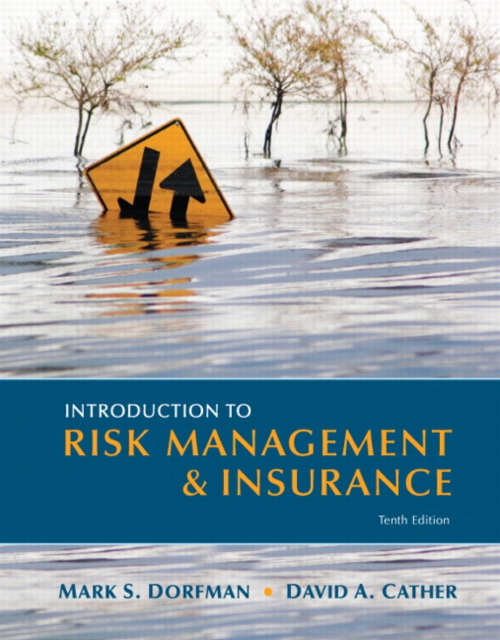 Introduction to Risk Management and Insurance (Pearson+) 10th Edition â€“ PDF/EPUB Version Downloadable