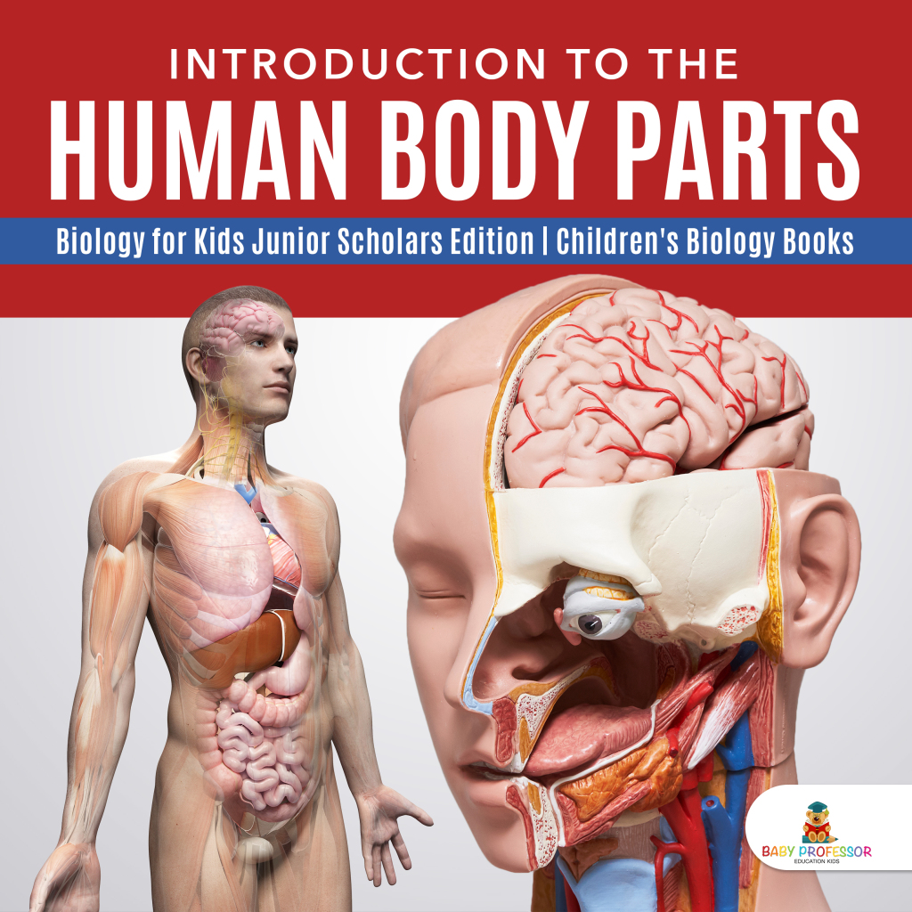 Introduction to the Human Body Parts | Biology for Kids Junior Scholars Edition | Children's Biology Books - (PDF/EPUB Version)