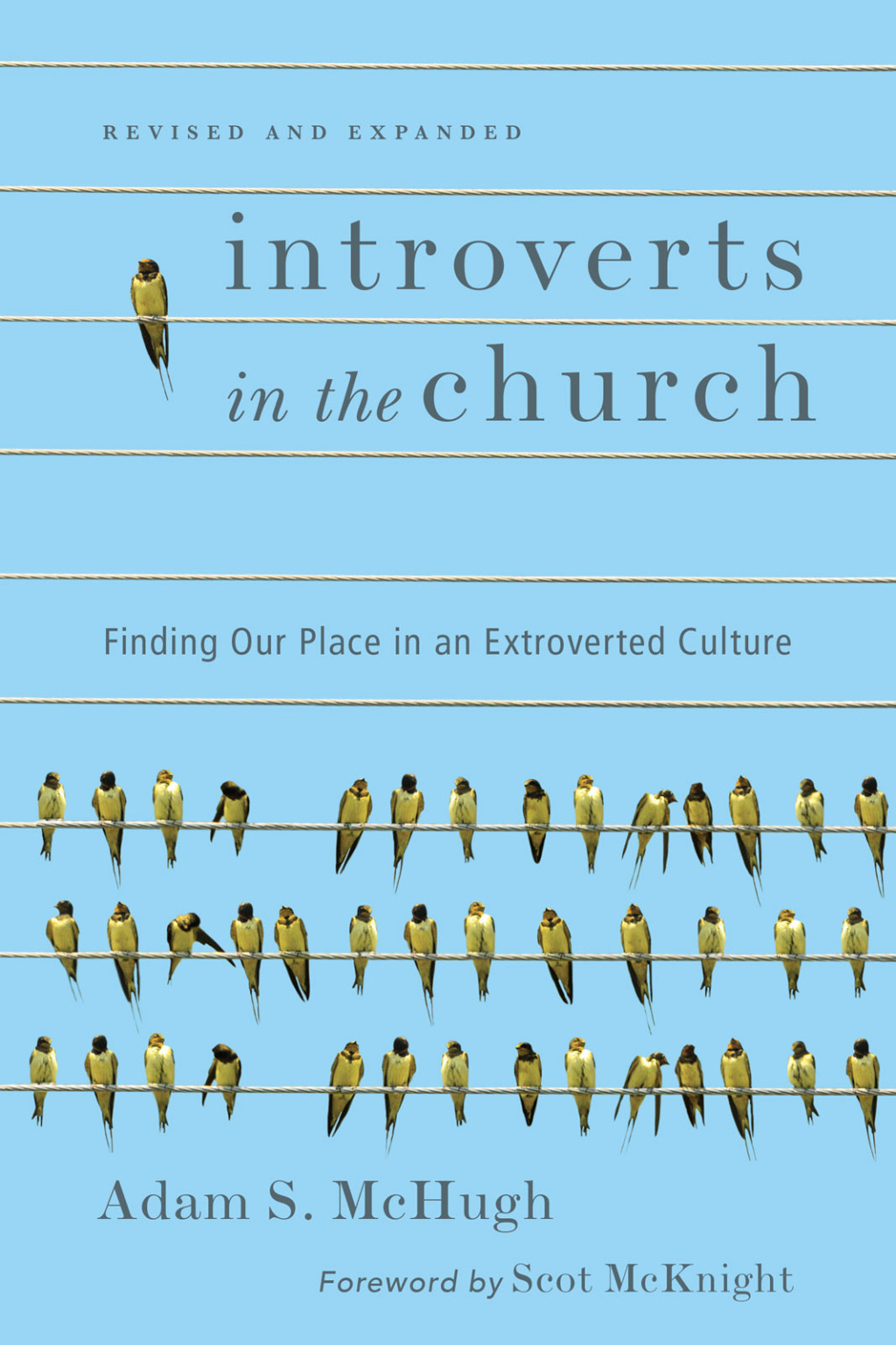 Introverts in the Church Finding Our Place in an Extroverted Culture - (PDF/EPUB Version)