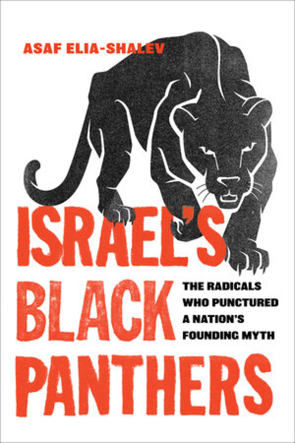 Israel's Black Panthers The Radicals Who Punctured a Nation's Founding Myth 1st Edition - (PDF/EPUB Version)