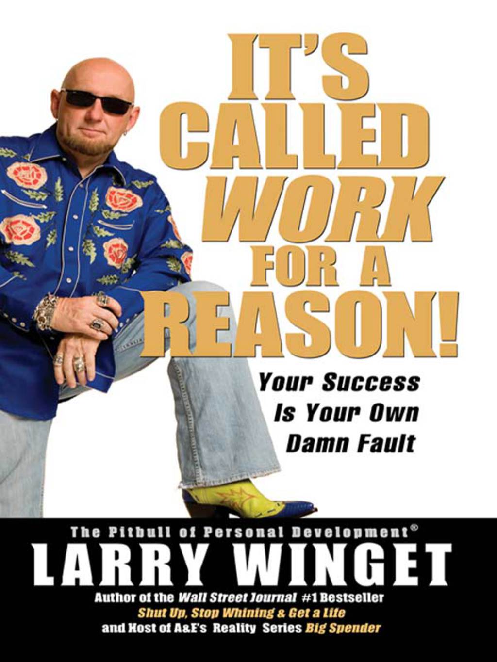 It's Called Work for a Reason! Your Success Is Your Own Damn Fault - (PDF/EPUB Version)