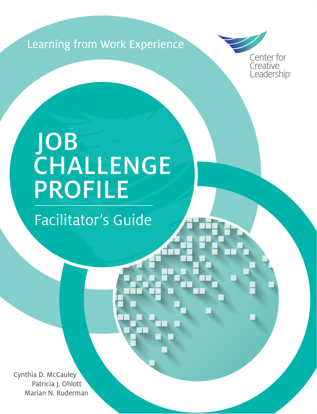 Job Challenge Profile, Facilitator Guide - (PDF/EPUB Version)