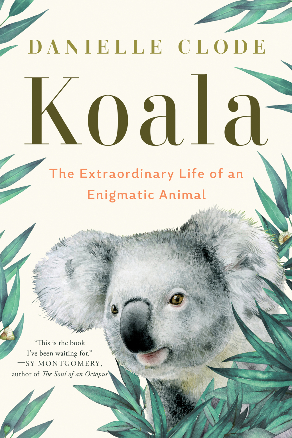 Koala: The Extraordinary Life of an Enigmatic Animal - (PDF/EPUB Version)