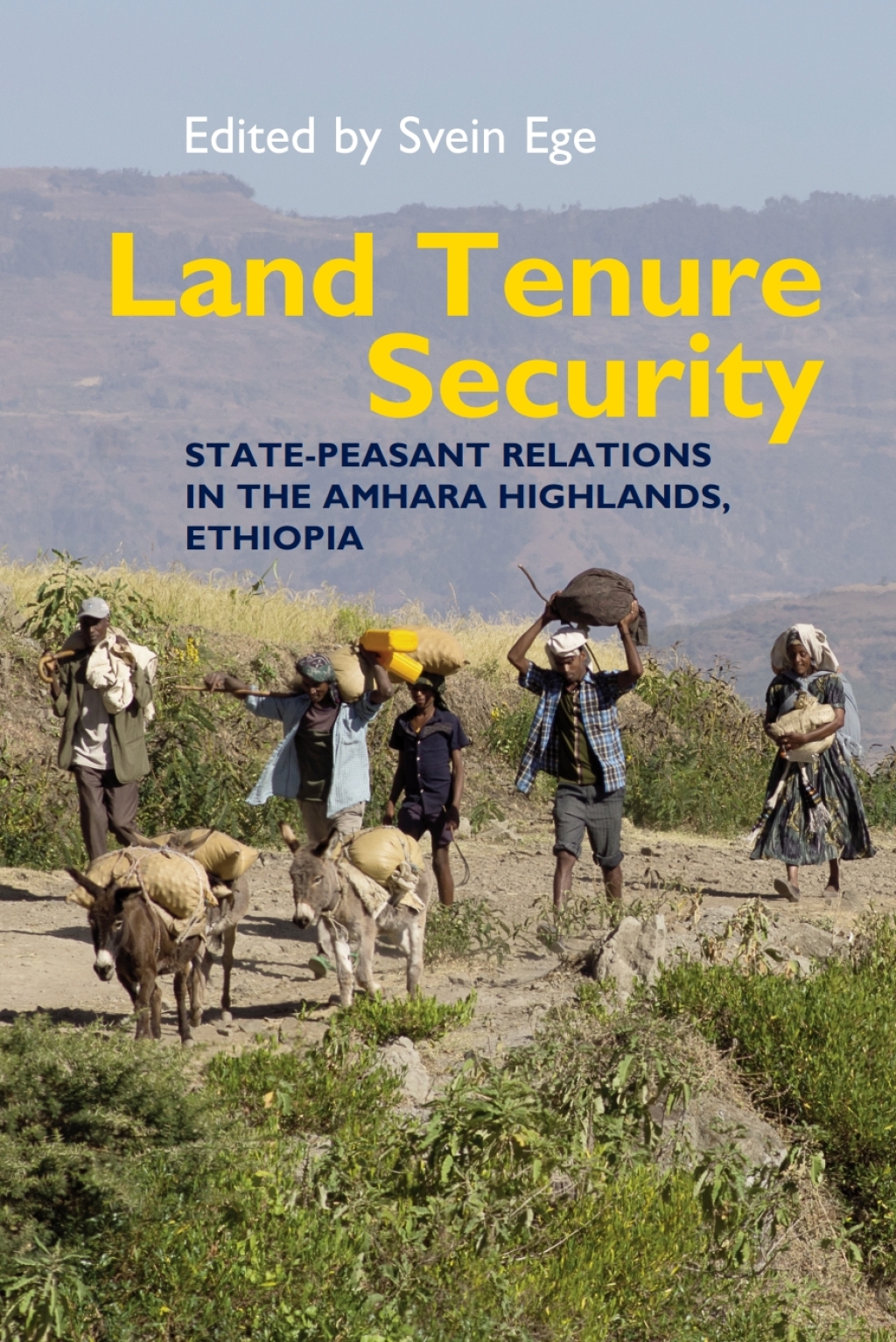 Land Tenure Security State-peasant relations in the Amhara Highlands, Ethiopia 1st Edition - (PDF/EPUB Version)