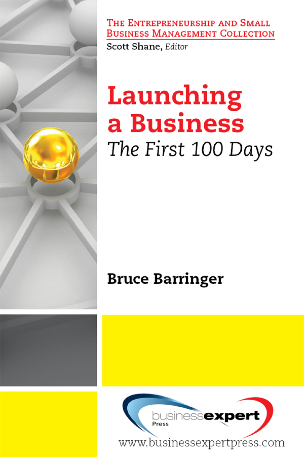 Launching a Business The First 100 Days - (PDF/EPUB Version)