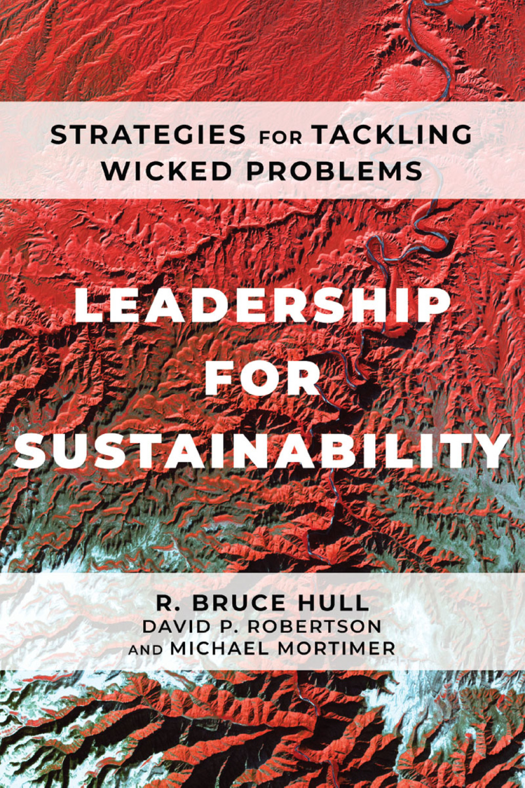 Leadership for Sustainability Strategies for Tackling Wicked Problems - (PDF/EPUB Version)