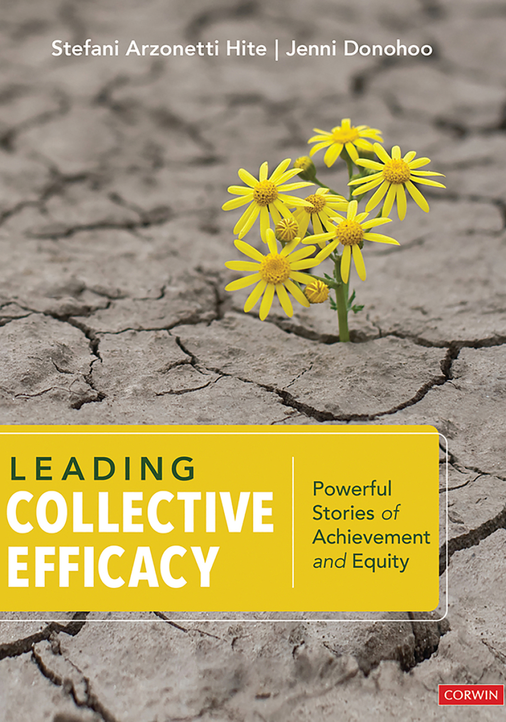Leading Collective Efficacy Powerful Stories of Achievement and Equity 1st Edition - (PDF/EPUB Version)