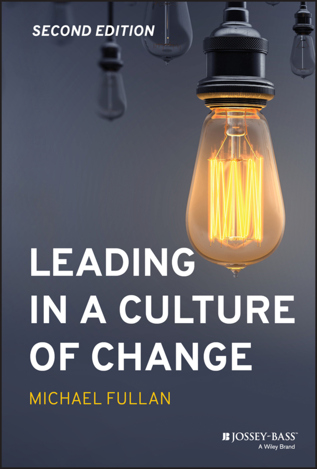 Leading in a Culture of Change 2nd Edition - (PDF/EPUB Version)