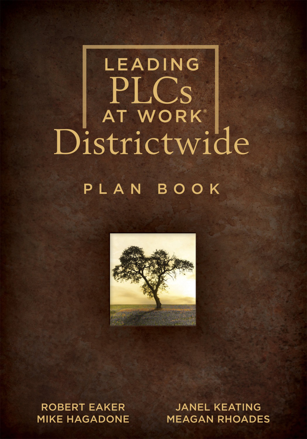 Leading PLCs at WorkÂ® Districtwide Plan Book (A school district leadership plan book for continuous improvement in a PLC) 1st Edition - (PDF/EPUB Version)