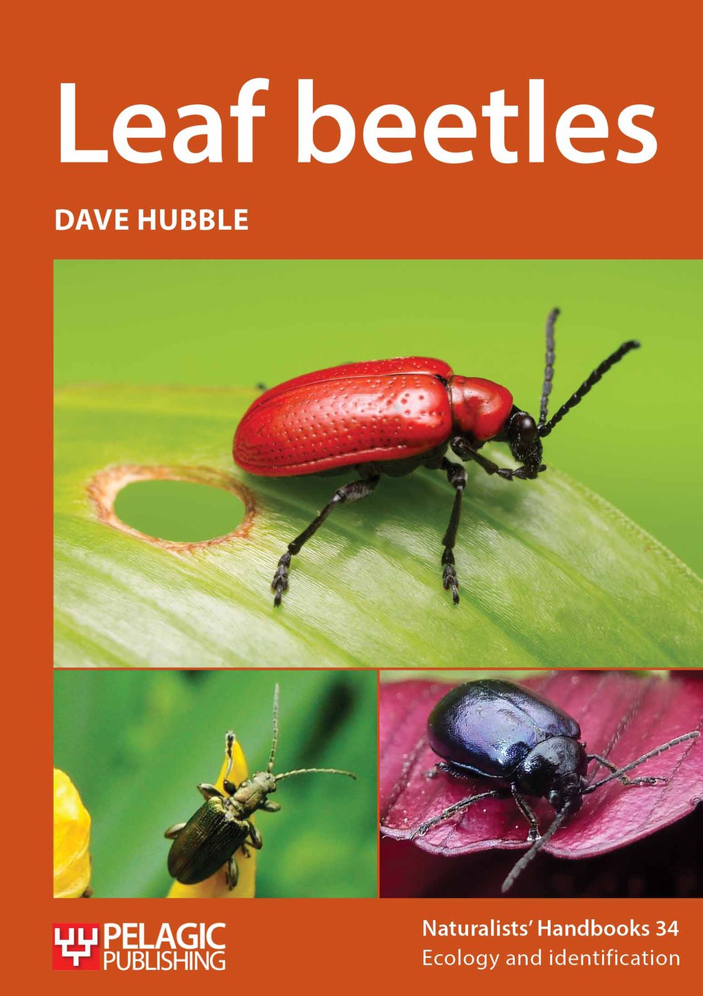 Leaf beetles 1st Edition - (PDF/EPUB Version)