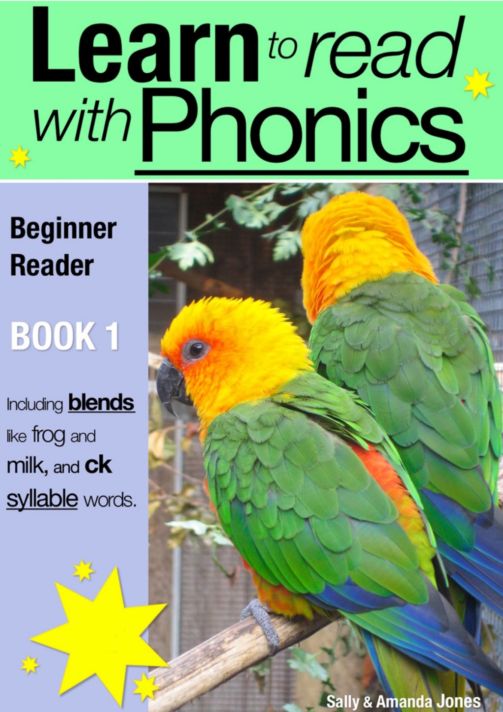 Learn to Read with Phonics - Book 1 2nd Edition - (PDF/EPUB Version)