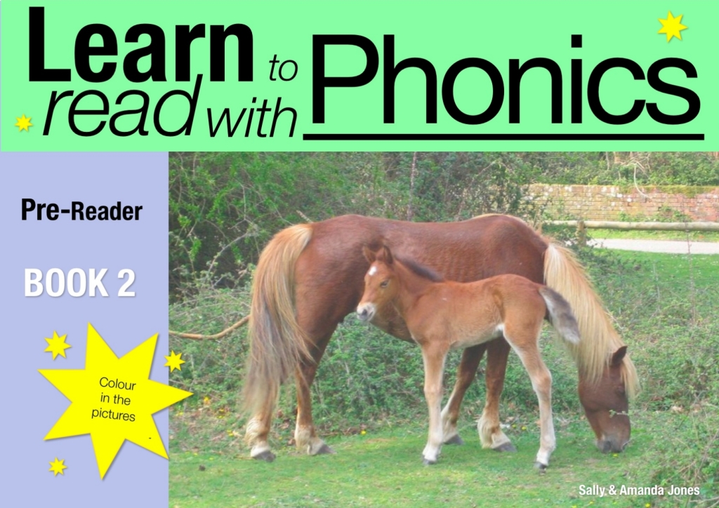 Learn to Read with Phonics Pre Reader Book 2 2nd Edition - (PDF/EPUB Version)