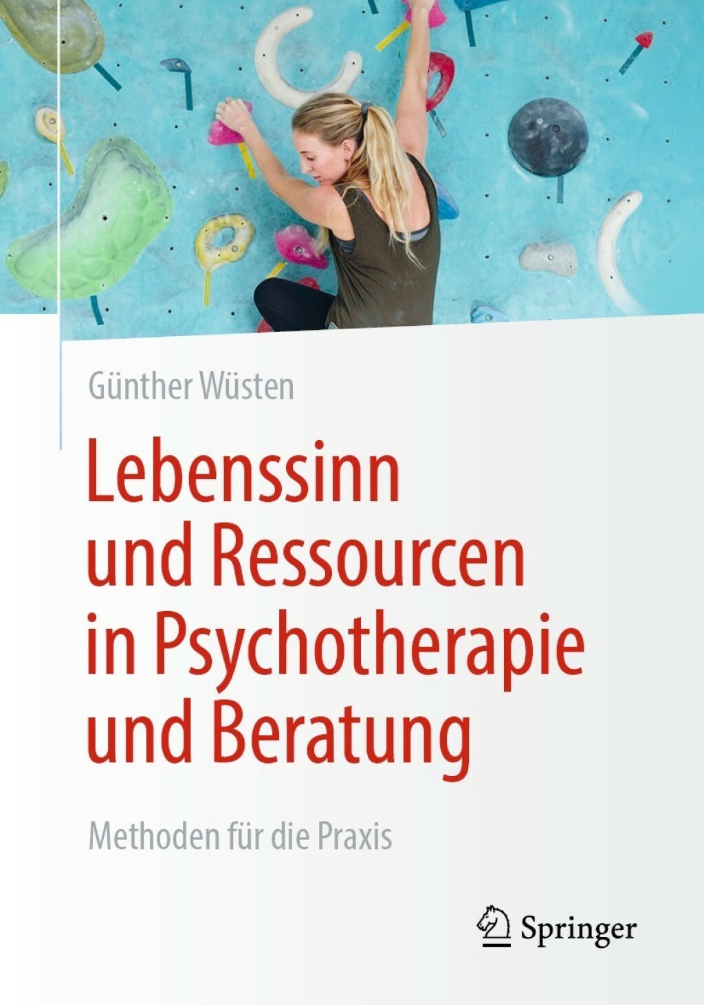 Lebenssinn und Ressourcen in Psychotherapie und Beratung Methoden fÃ¼r die Praxis - (PDF/EPUB Version)