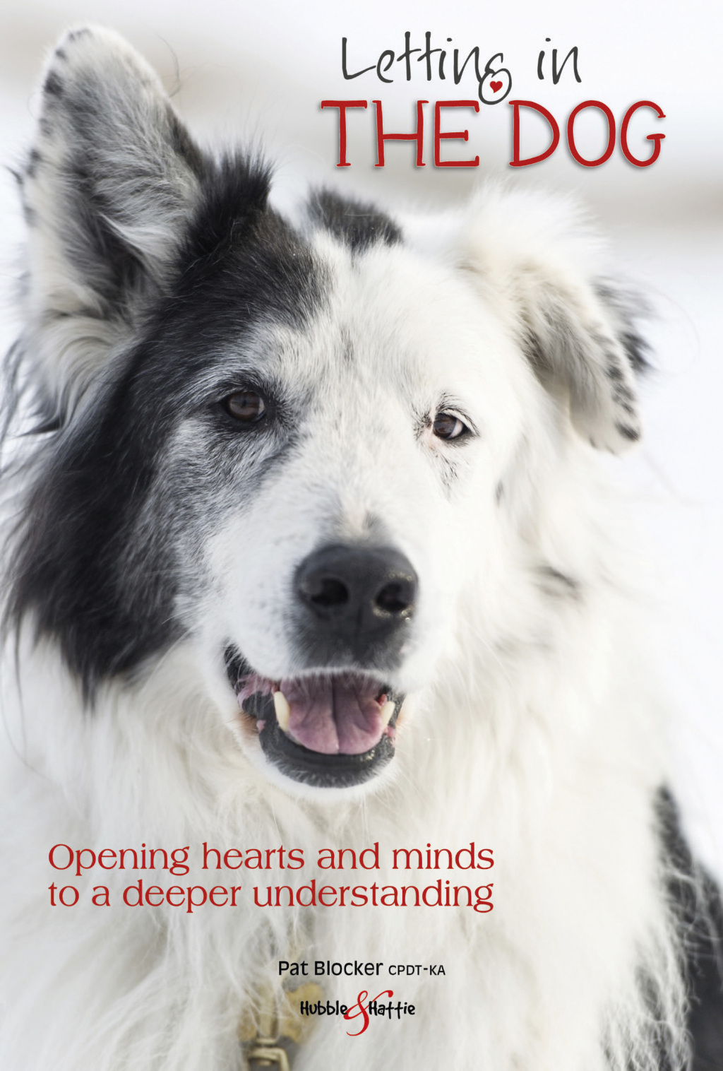 Letting in the dog Opening hearts and minds to a deeper understanding - (PDF/EPUB Version)