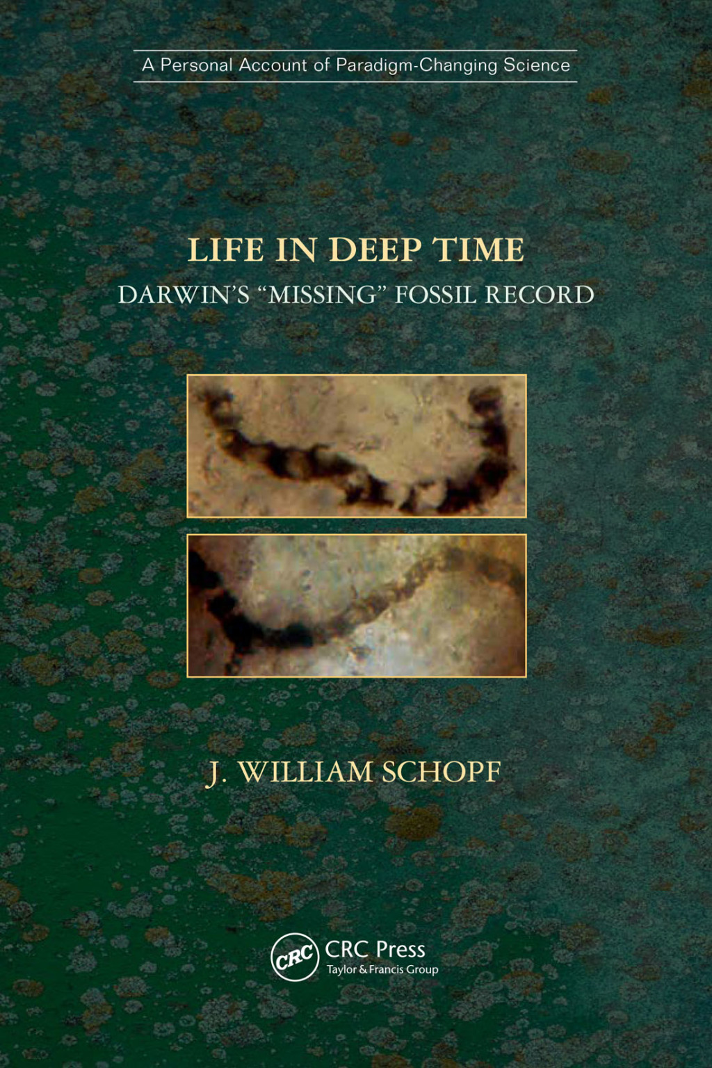 Life in Deep Time Darwinâ€™s â€œMissingâ€ Fossil Record 1st Edition - (PDF/EPUB Version)