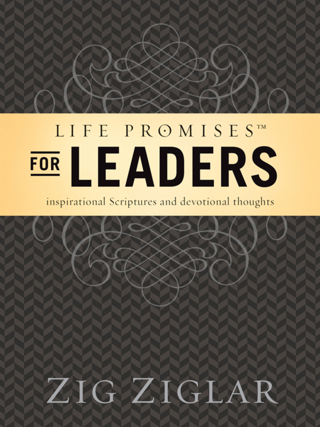 Life Promises for Leaders Inspirational Scriptures and Devotional Thoughts - (PDF/EPUB Version)