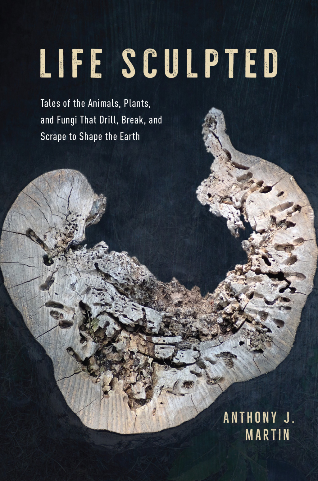 Life Sculpted Tales of the Animals, Plants, and Fungi That Drill, Break, and Scrape to Shape the Earth - (PDF/EPUB Version)
