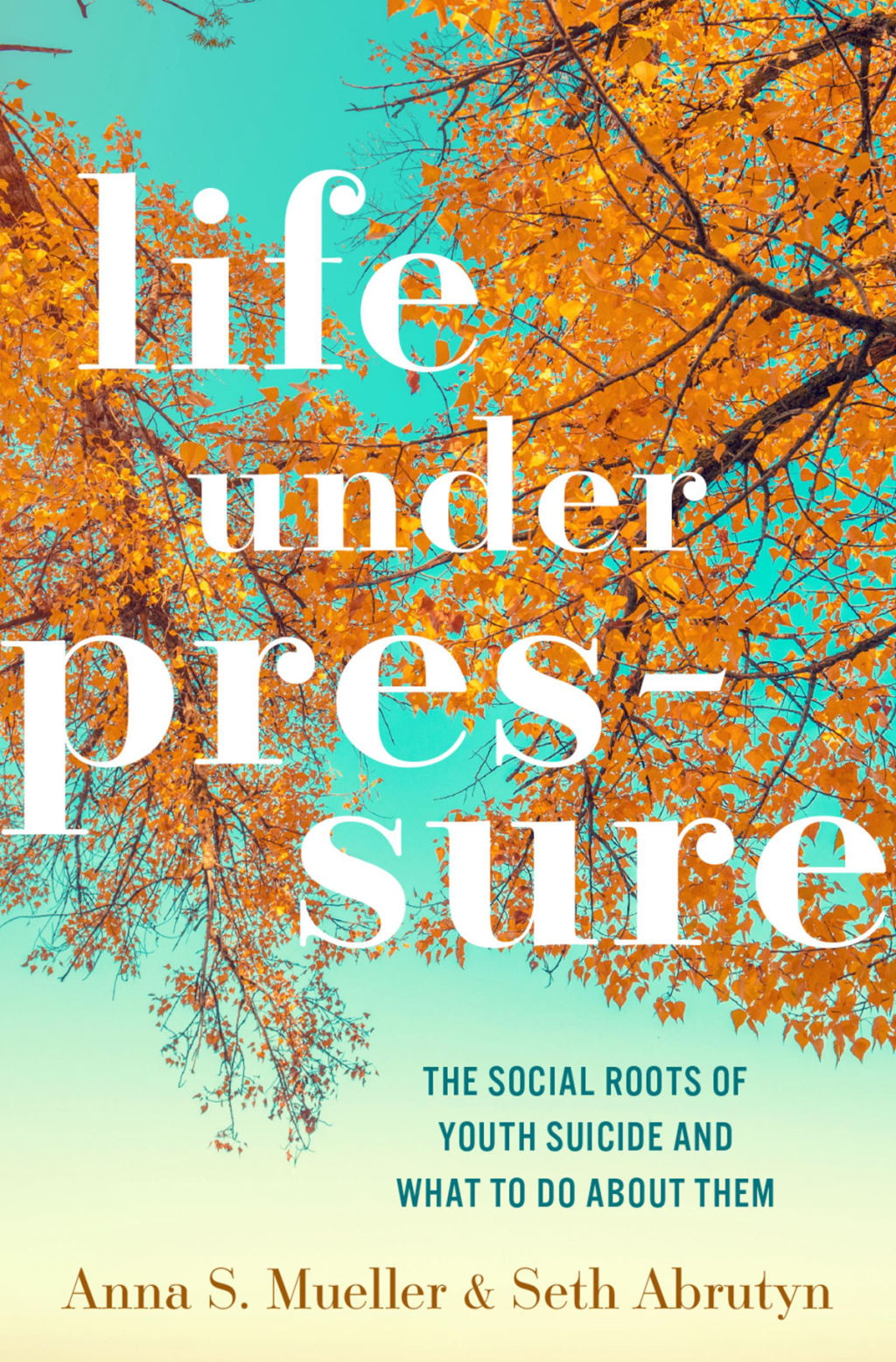 Life under Pressure The Social Roots of Youth Suicide and What to Do About Them 1st Edition - (PDF/EPUB Version)