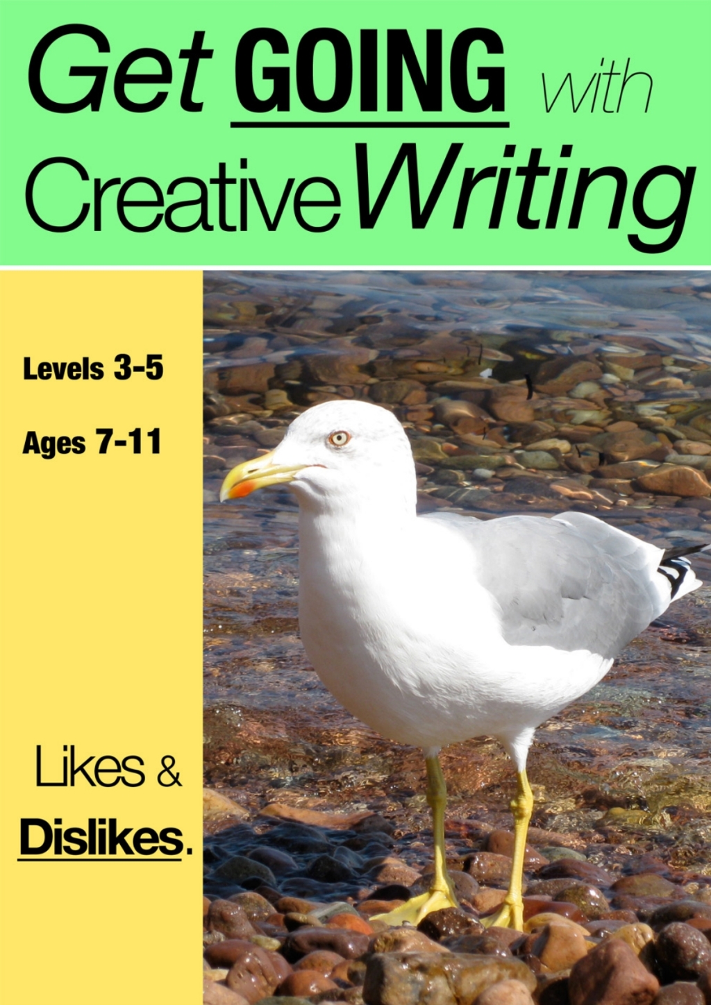 Likes and Dislikes 2nd Edition - (PDF/EPUB Version)
