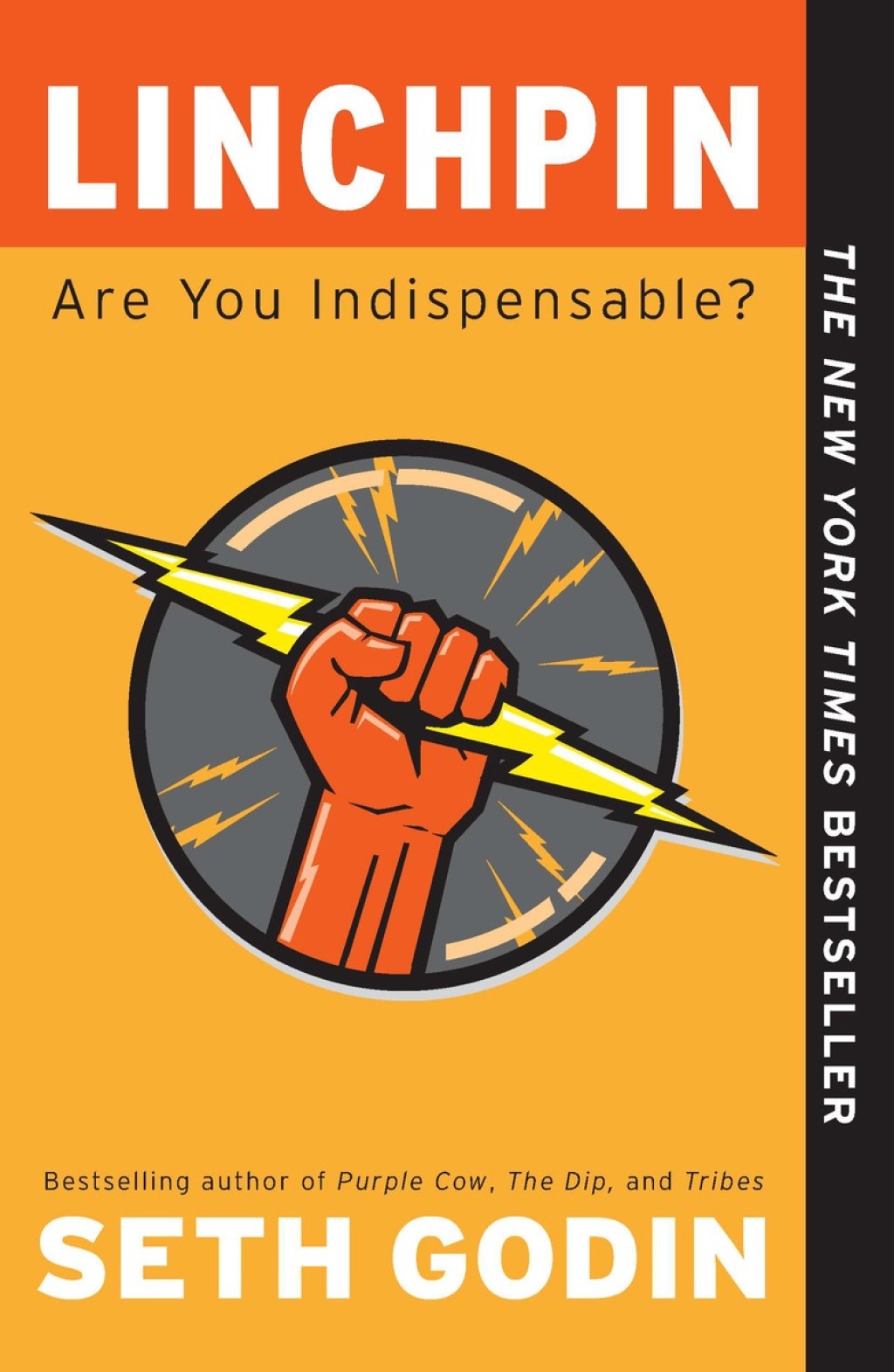 Linchpin Are You Indispensable? - (PDF/EPUB Version)