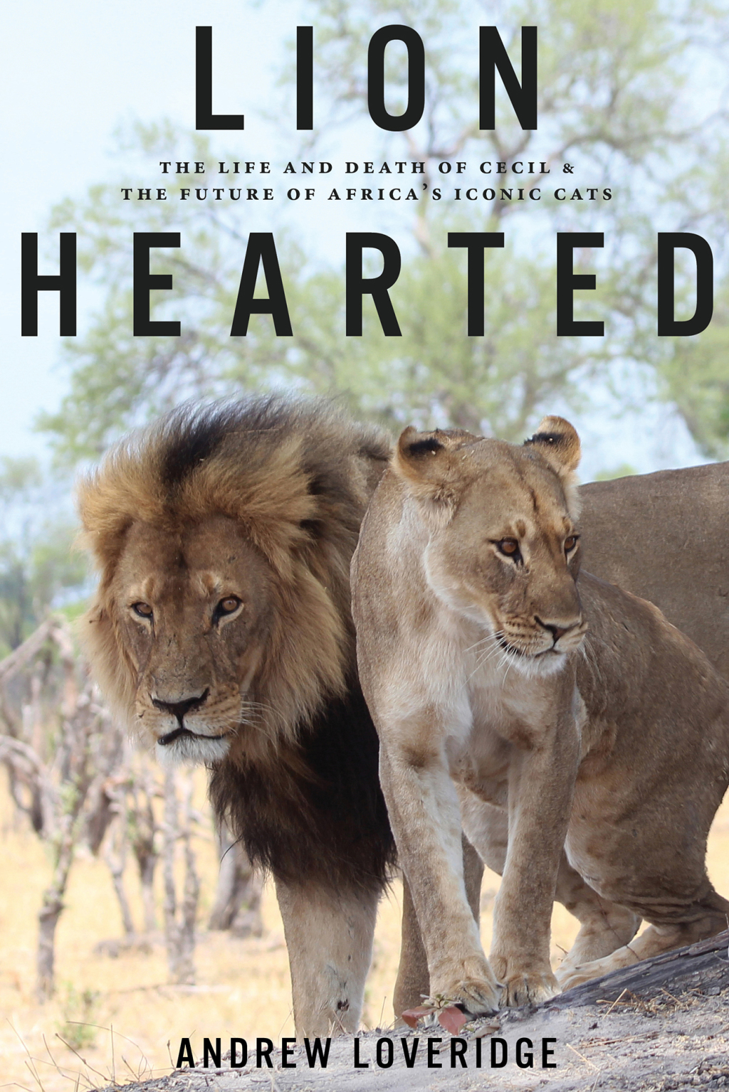 Lion Hearted The Life and Death of Cecil & the Future of Africa's Iconic Cats - (PDF/EPUB Version)