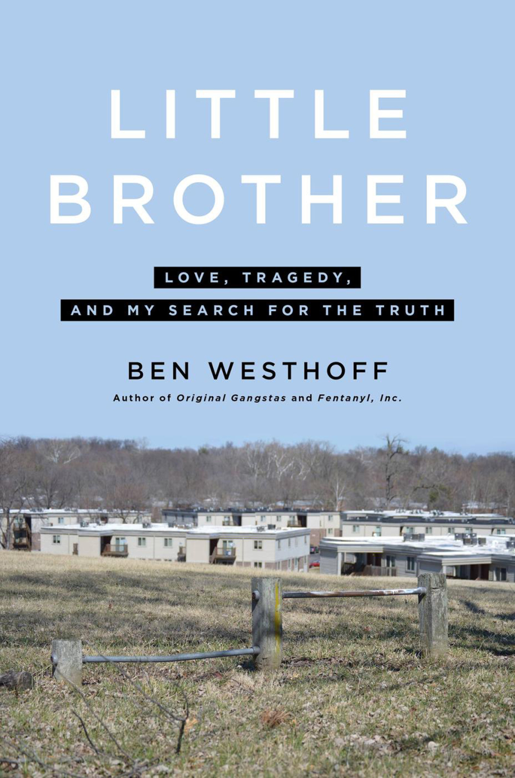 Little Brother Love, Tragedy, and My Search for the Truth - (PDF/EPUB Version)