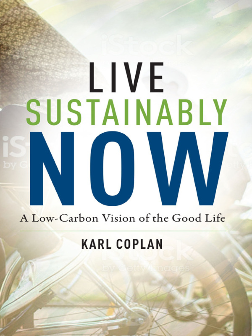 Live Sustainably Now A Low-Carbon Vision of the Good Life - (PDF/EPUB Version)