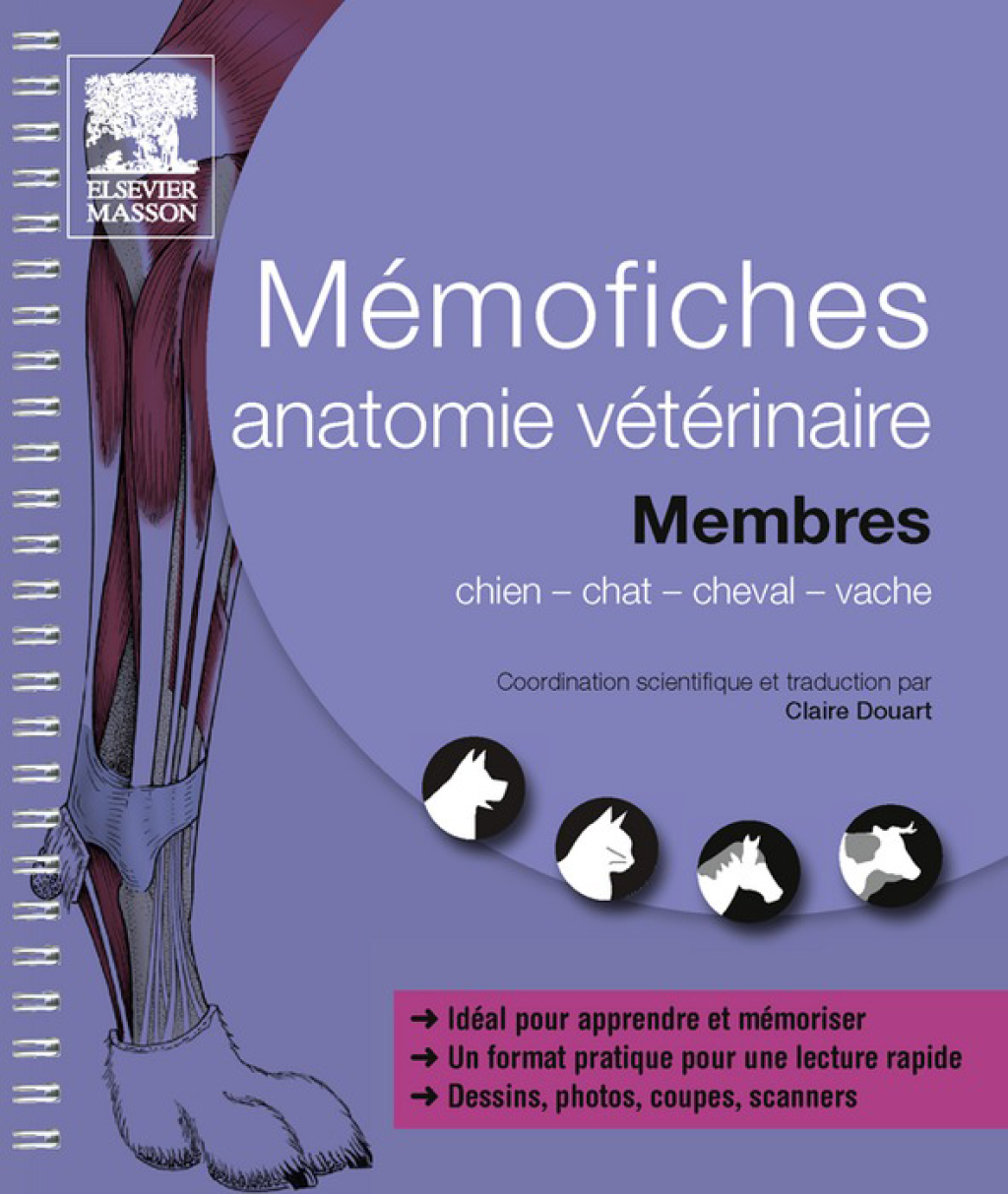 MÃ©mofiches anatomie vÃ©tÃ©rinaire - Membres - (PDF/EPUB Version)