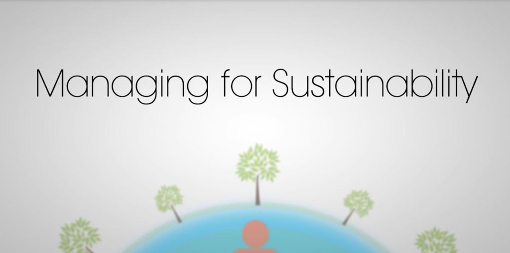 Managing for Sustainability: How to Measure, Manage and Effectively Communicate Sustainability Efforts 1st Edition - (PDF/EPUB Version)