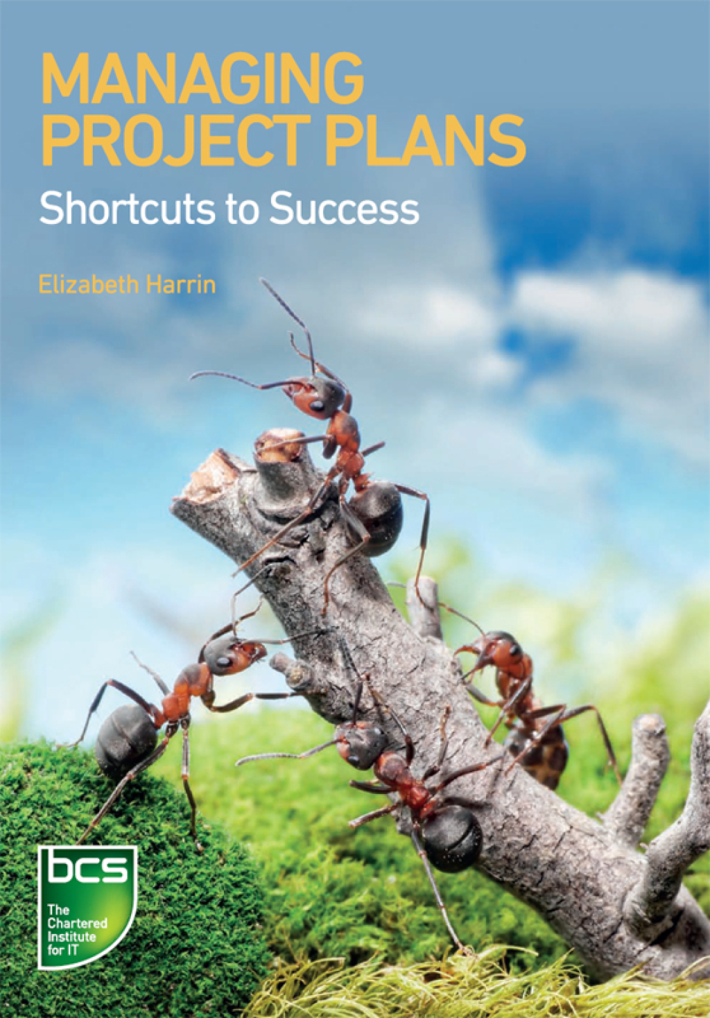 Managing Project Plans Shortcuts to success 1st Edition - (PDF/EPUB Version)