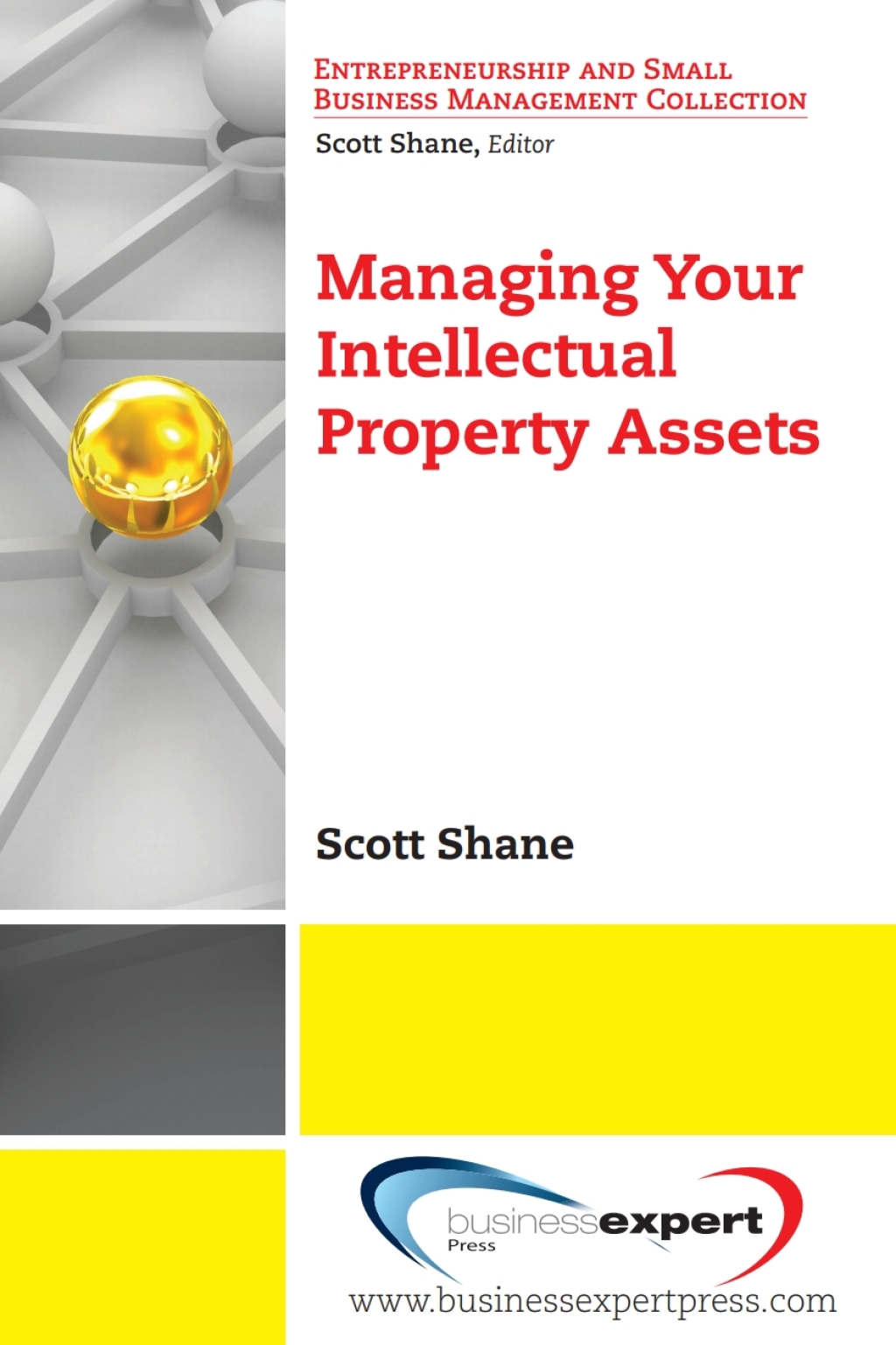 Managing Your Intellectual Property Assets - (PDF/EPUB Version)