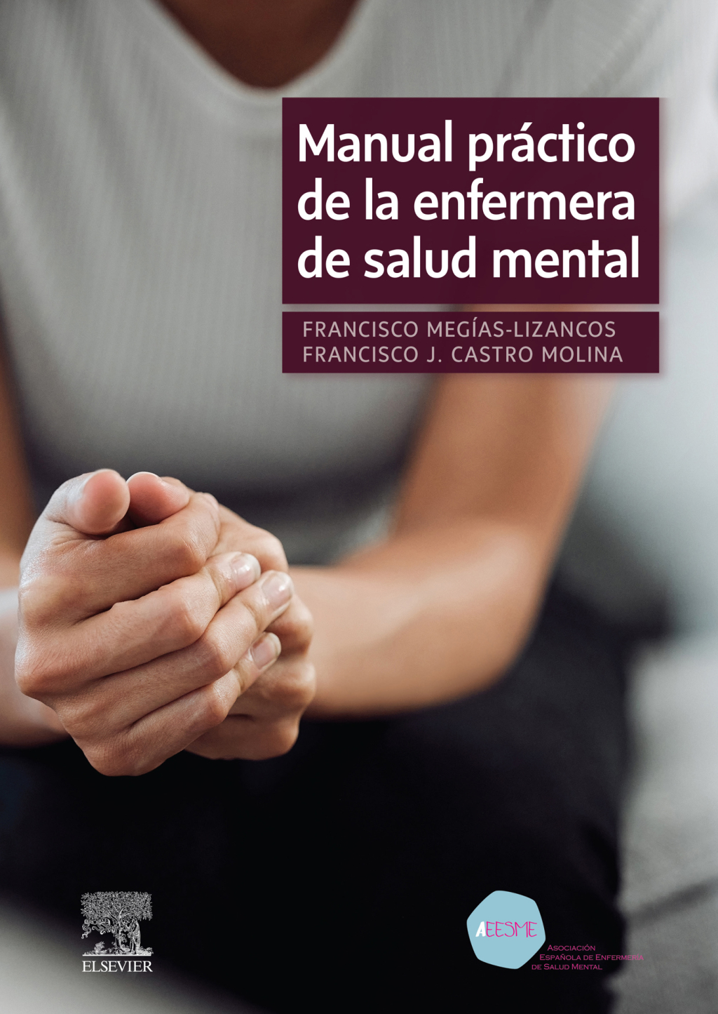 Manual prÃ¡ctico de la enfermera de salud mental 1st Edition - (PDF/EPUB Version)