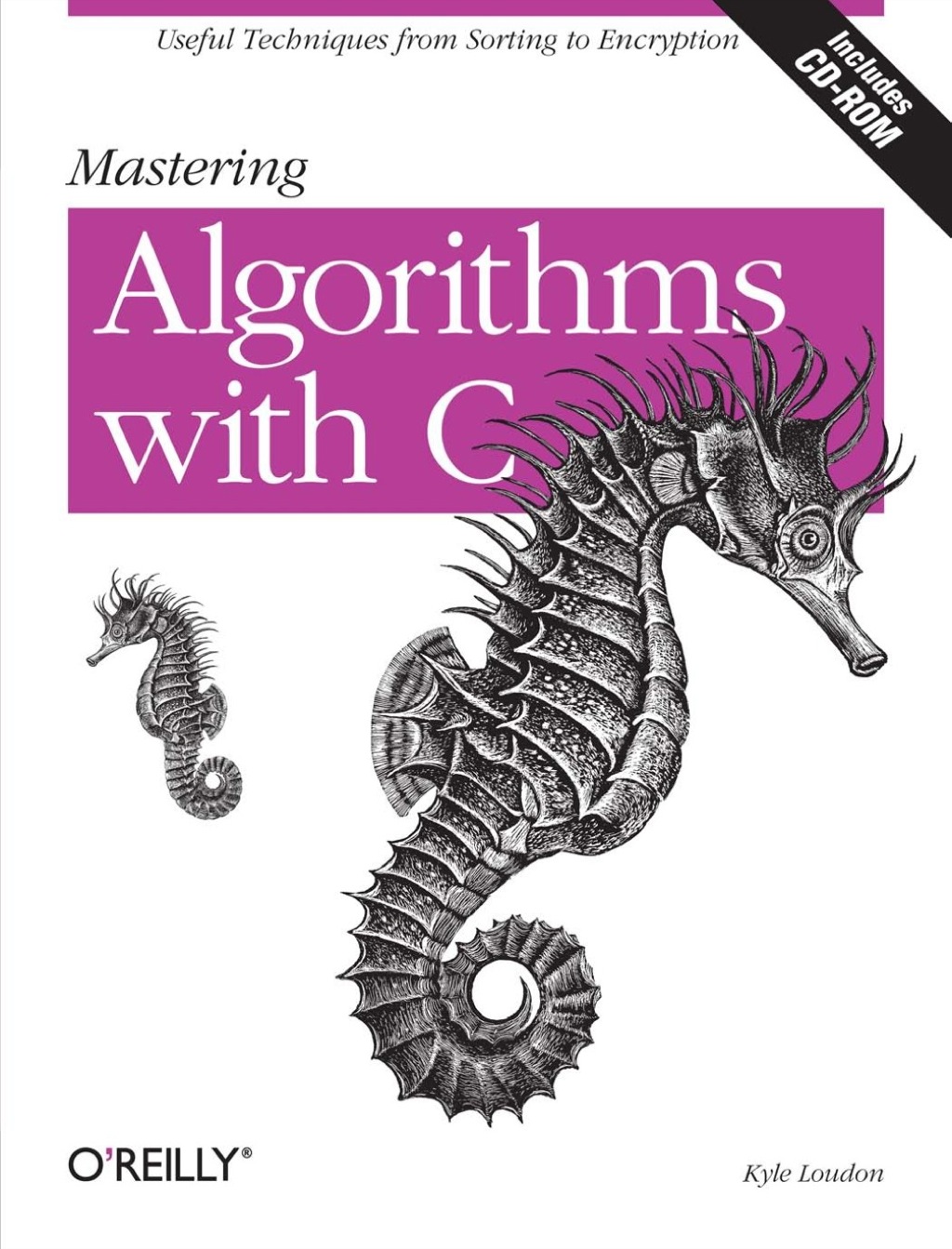 Mastering Algorithms with C 1st Edition â€“ PDF/EPUB Version Downloadable