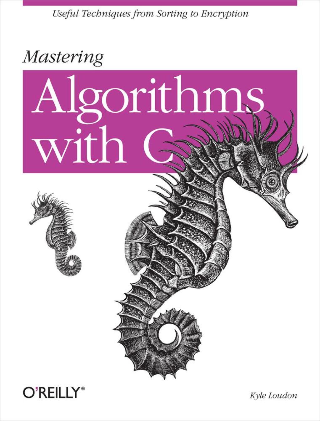 Mastering Algorithms with C Useful Techniques from Sorting to Encryption 1st Edition â€“ PDF/EPUB Version Downloadable