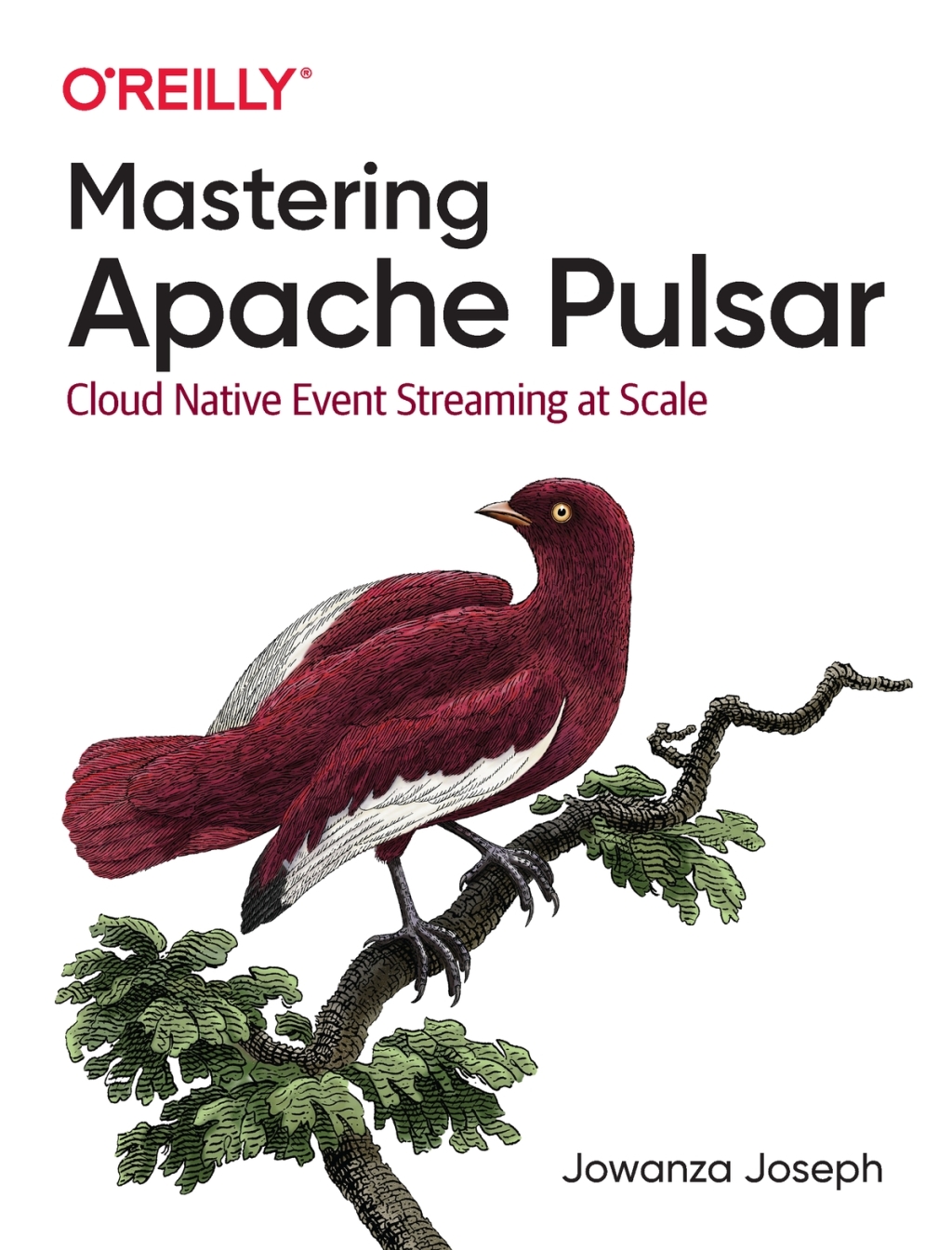 Mastering Apache Pulsar Cloud Native Event Streaming at Scale 1st Edition â€“ PDF/EPUB Version Downloadable