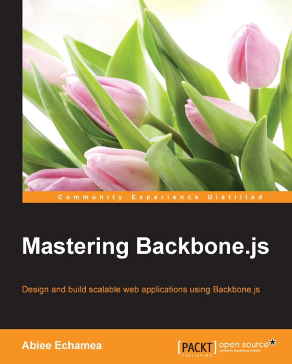 Mastering Backbone.js 1st Edition â€“ PDF/EPUB Version Downloadable