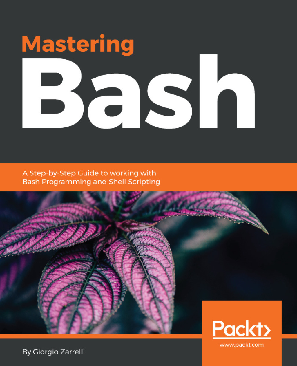 Mastering Bash 1st Edition â€“ PDF/EPUB Version Downloadable