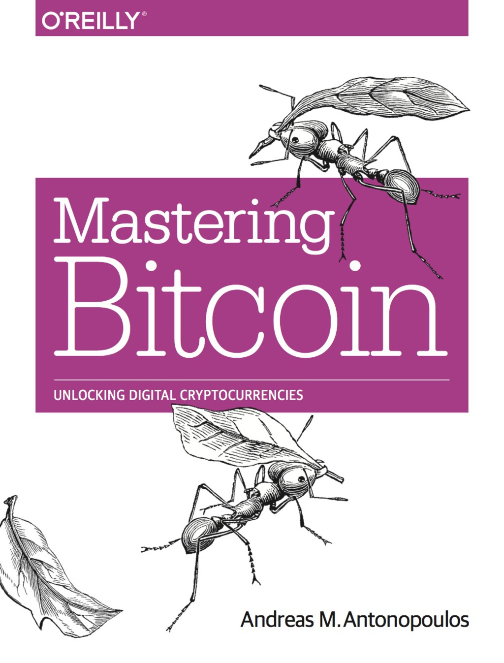 Mastering Bitcoin 1st Edition - (PDF/EPUB Version)